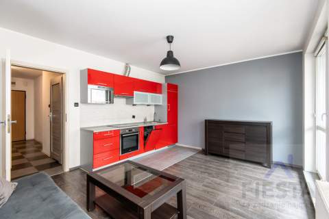 Mieszkanie do wynajęcia, 40 m2, Poznań