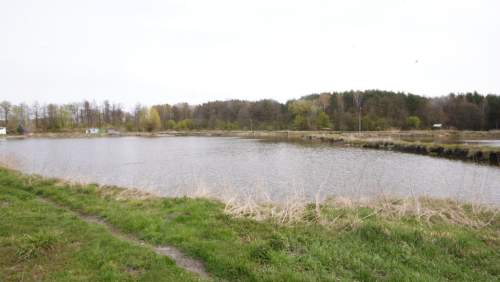 5,42 ha, Stawy rybne, las, Zemborzyce, Lublin