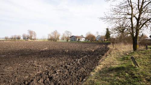 Działka - Węzina .