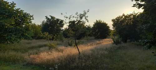Ładna, uzbrojona działka pod lasem-33a-Wilczopole