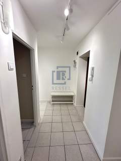 2 pokoje po remoncie Balkon Piwnica Winda