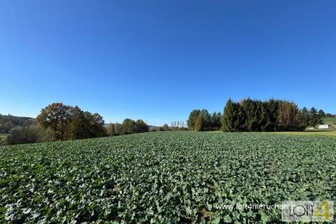 Interesująca rzadka, okazja - wiele możliwości