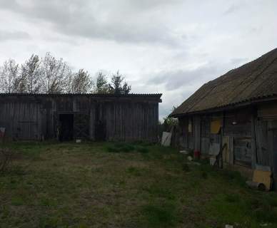 Sprzedam dom z ziemią i lasem
