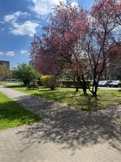 Tychy-3 pokojowe 63,5 wysoki parter w niskiej zabudowie.