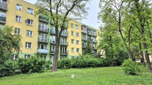 43m2/Dąbrowa/zielona okolica/2pokoje/rozkład