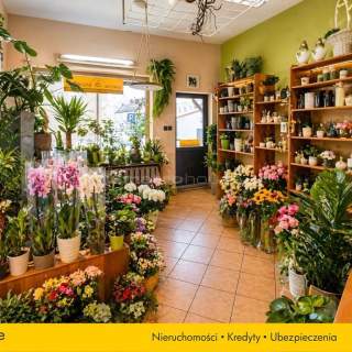 Lokal użytkowy na sprzedaż, 59 m2, Sępólno Krajeńskie