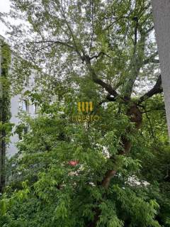 2 pok, kamienica