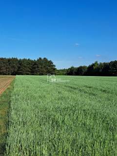 Działka rolna na sprzedaż, 1500 m2, Rembów