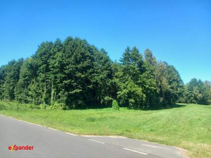 DZIAŁKA STARY KOBRZYNIEC 4,55 HA I ROGÓWKO 1,61 HA