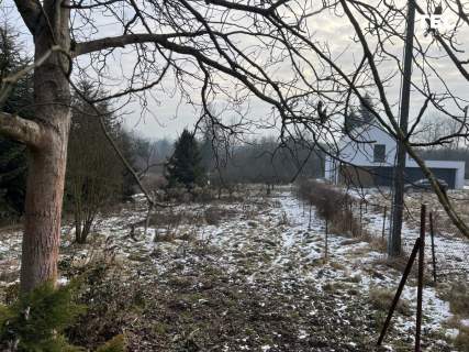 Dom marzeń Las Piękny widok