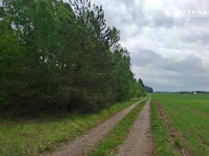 Sobącz 8165 m2 dużej działki blisko jeziora na Kaszubach