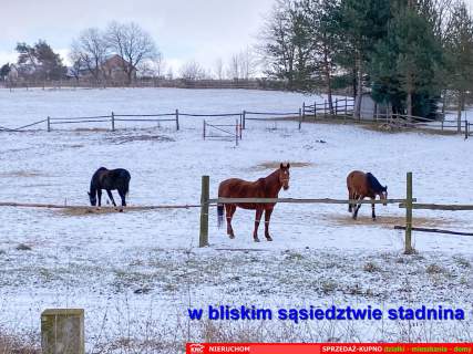Siedlisko na wsi 35 km od Lublina.