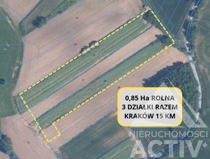 Rolna z potencjałem, rekreacja, 1ha, Kraków 15km
