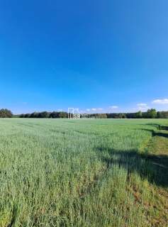 Działka rolna na sprzedaż, 1500 m2, Rembów