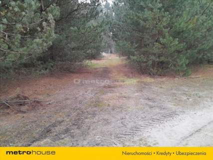 Duża działka rolna w okolicach Wyszkowa