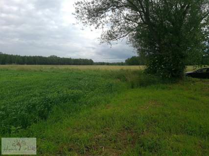 UZBROJONE DZIAŁKI POD PODDĘBICAMI nad rzeką NER