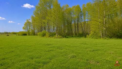Działka rolno-budowlana 2,5 ha. Nowosiółki