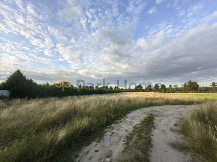 Działka 1949 m Smogorzewo - cisza, las i spokój