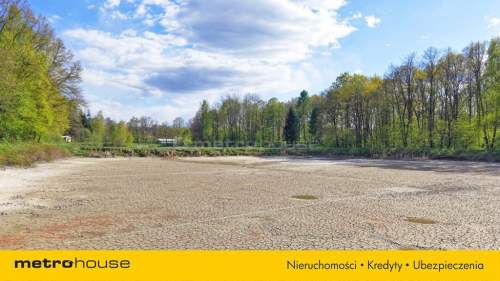 Niepowtarzalna okazja 2 stawy rybne i las 3,15ha