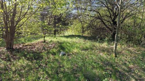Działka budowlana na sprzedaż, 1690 m2, Sosnowiec