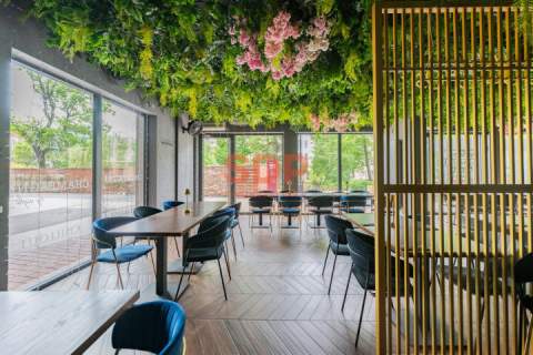 Lokal gastronomiczny w centrum Wrocławia Plac Jana Pawała II...