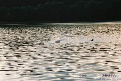 Mazury - piękna i zgrabna na dwa domy, media 