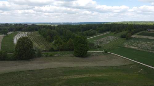 Działka 8713 m2 piękny widok w Kazimierzy Dolnym
