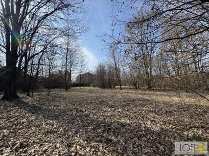 Twój niemały kawałek natury 1,26 ha.