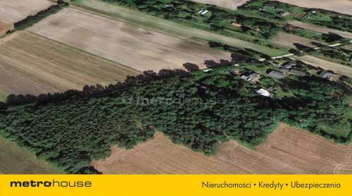 Działka leśna 800mkw Żurawieniec gm. Lutomiersk