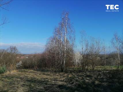 73 ar I Wrząsowice I zielona spokojna okolica