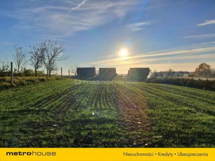 Działka 0,30 ha z zabudowaniamiZdziłowice Czwarte