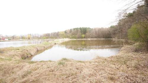 5,42 ha, Stawy rybne, las, Zemborzyce, Lublin