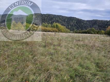 Działka budowlana na sprzedaż, 1000 m2, Kamienica