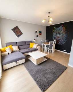 Mieszkanie do wynajęcia, 53 m2, Łódź