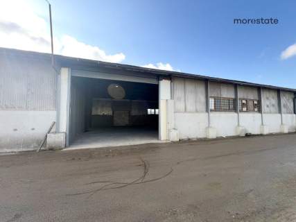 Wimmera Niepołomice / hala/magazyn / 240m2