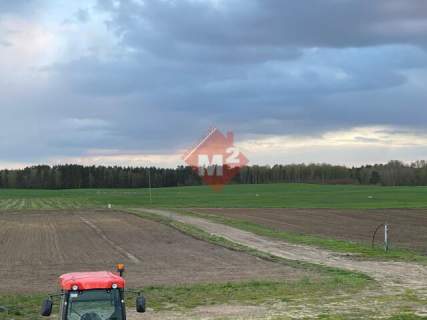 Działka Rolna w Lisowie z plantacją borówki