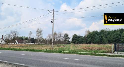 Działka w świetnej lokalizacji Kolonia Bogoria
