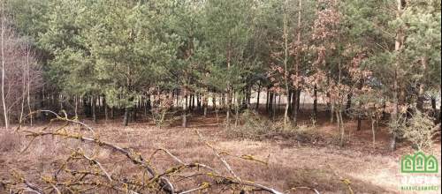 Jania Góra-siedlisko 1,16ha remont lub wyburzenie