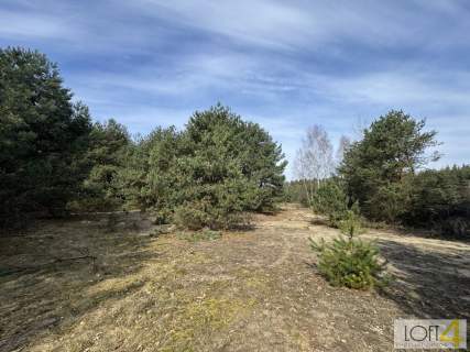 Twój niemały kawałek natury 1,26 ha.