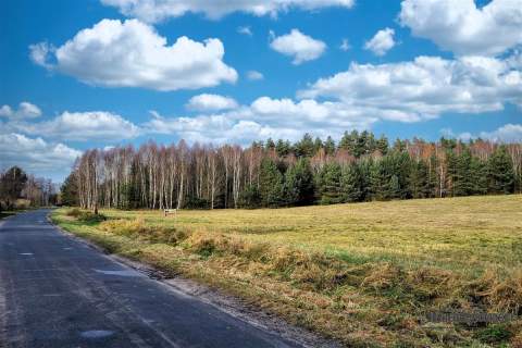 Działka na skraju wsi, w pobliżu lasu.
