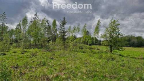 Twoje miejsce ciszy 750m od jeziora Warmia Mazury