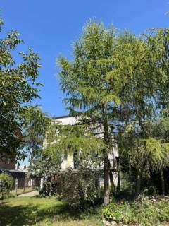 Dom 170 m2 działka 1121 m2 Super Lokalizacja
