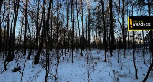 Działki inwestycyjne 3637 m z mediami Tumlin