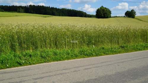DZIAŁKA NA WZGÓRZACH DYLEWSKICH