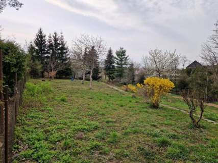 245zł/m2 - w ścisłym centrum Konina
