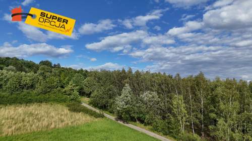 Urocza zielona działka z WZ 37,56ar Odrzykoń
