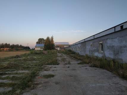 Syndyk sprzeda Zorganizowaną cześć przedsiębiorstwa