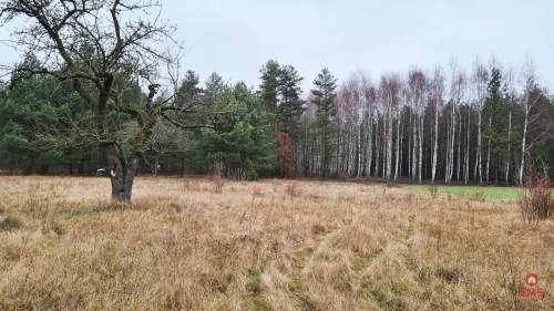 Działka 1900 m2. Pieńki