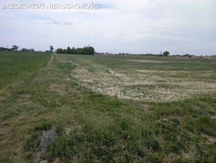 Zakroczym, 18130 m2, MPZP, przemysłowa, usługowa