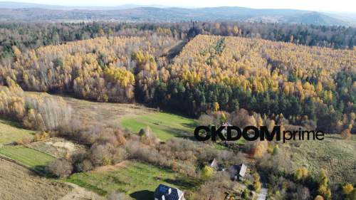 Działka inwestycyjna Cisów 22 500 m 